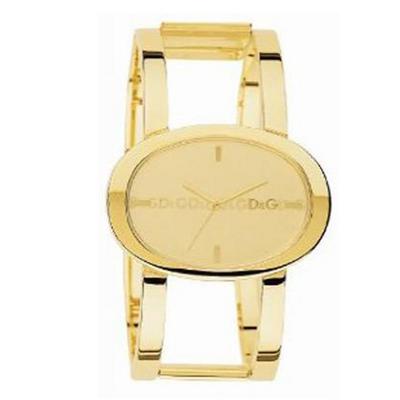 Dolce Gabbana DG3729350012 Kadın Kol Saati