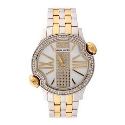Pierre Cardin 101792F04 Kadın Kol Saati